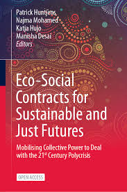 book-ecosocialcontracts