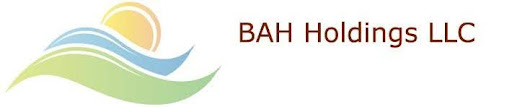 BAH Holdings logo