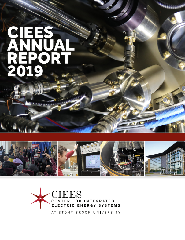 CIEES Anual Report Cover 2019