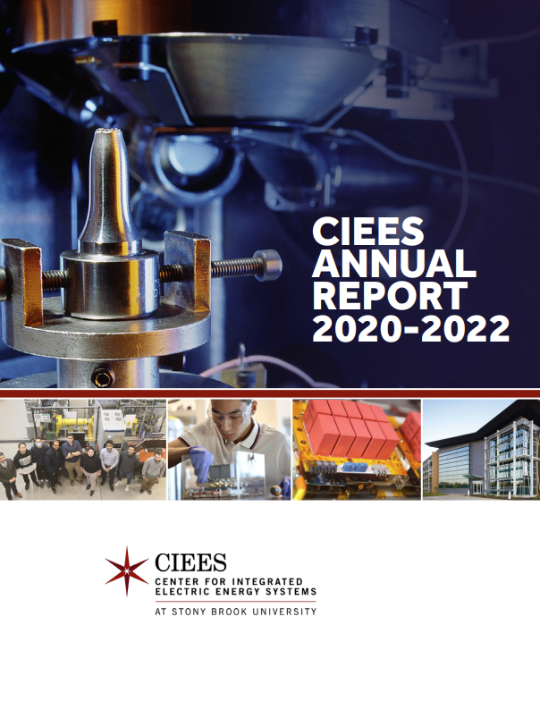 CIEES Annual Report Cover 2021