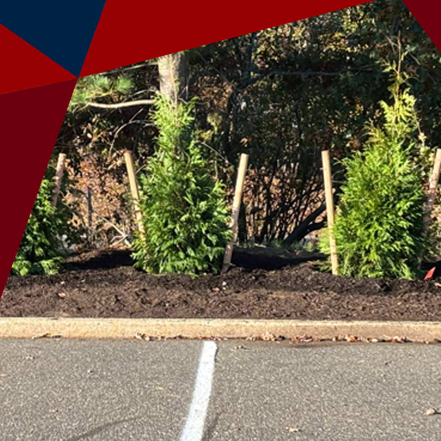 Nicolls Rd Beautification Initiative