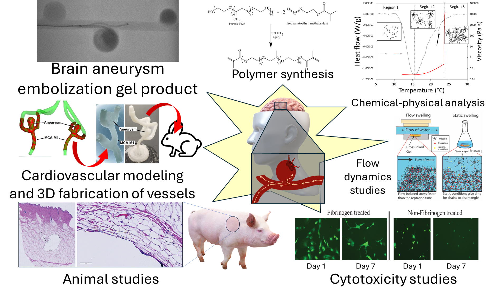 A diagram depicting various biological applications of hydrogels