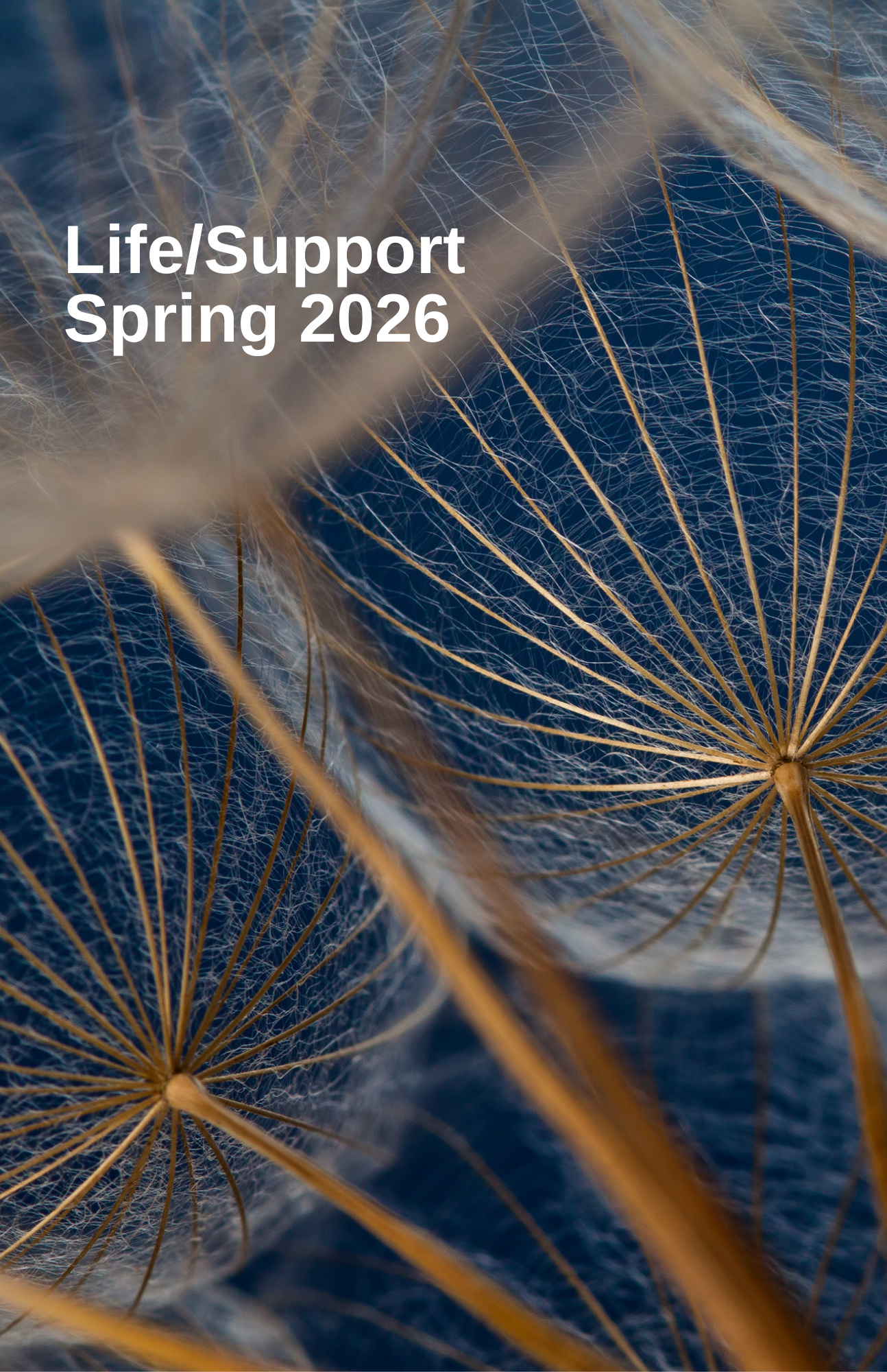 Spring 2026 Life/Support theme image w/text
