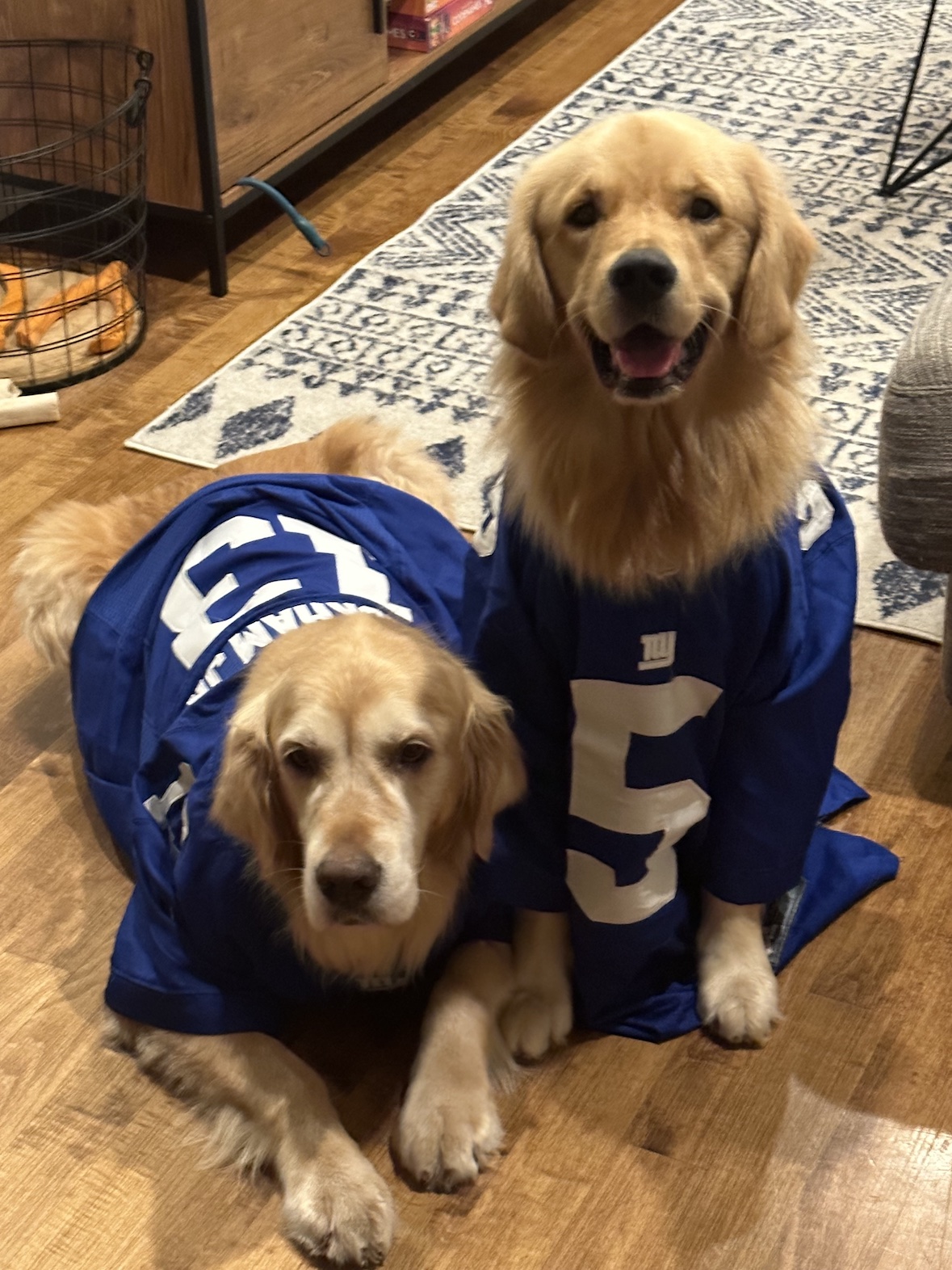 Finn and Arfur in New York Giants jerseys